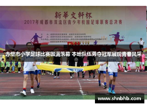 赤壁市小学足球比赛圆满落幕 本地队伍勇夺冠军展现青春风采