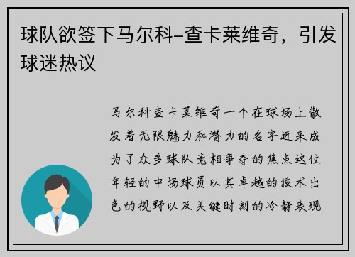 球队欲签下马尔科-查卡莱维奇，引发球迷热议